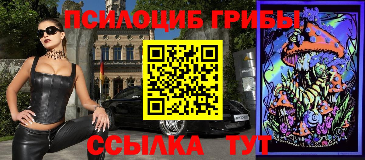 Горно-Алтайск  Псилоцибиновые грибы Psilocybe  Вход с VPN  Псилоцибиновые грибы MAGIC MUSHROOMS 
